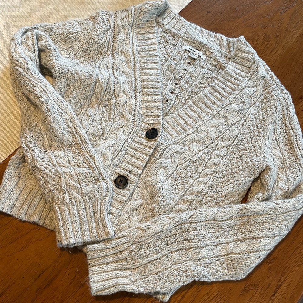 American eagle cropped button front sweater